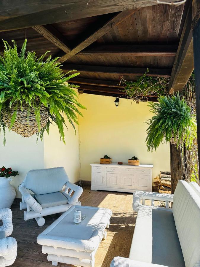 Chanel Garden Relaxation Home Formello Exteriör bild